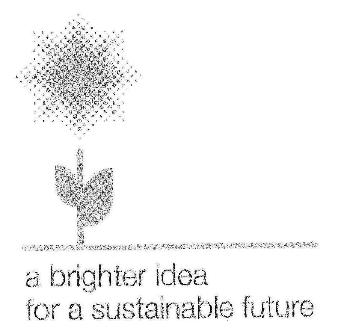 A BRIGHTER IDEA FOR A SUSTAINABLE FUTURE