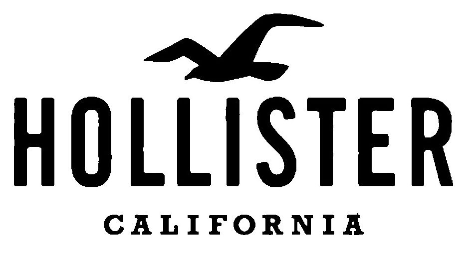  HOLLISTER CALIFORNIA