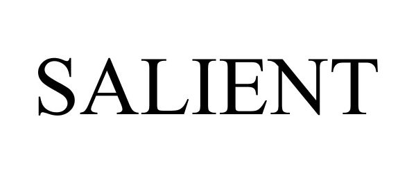 Trademark Logo SALIENT