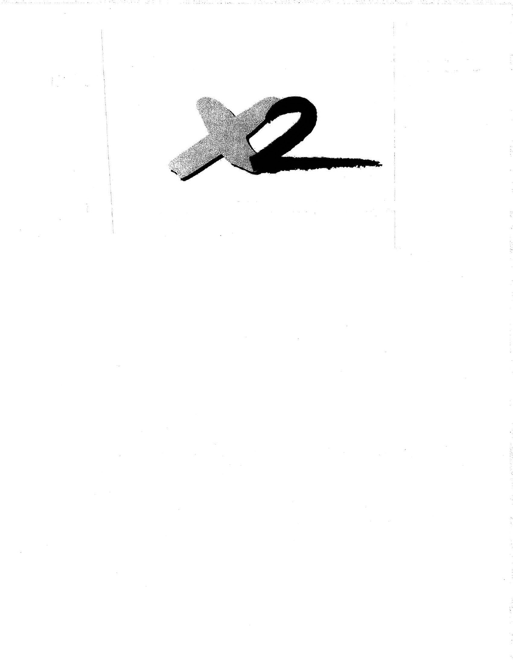 Trademark Logo X2