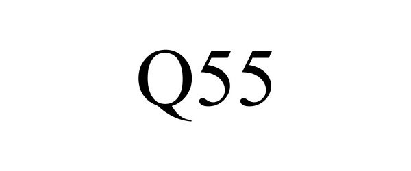 Trademark Logo Q55