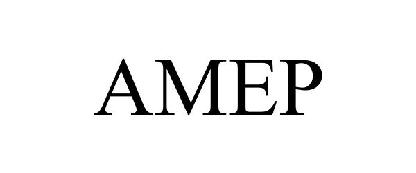 Trademark Logo AMEP