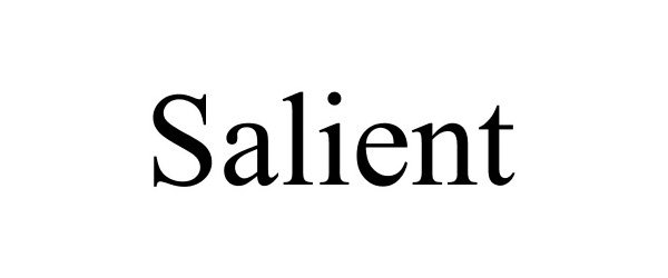 Trademark Logo SALIENT