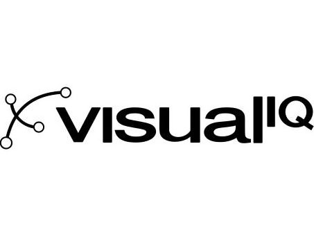  VISUAL IQ