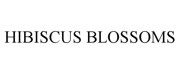 HIBISCUS BLOSSOMS