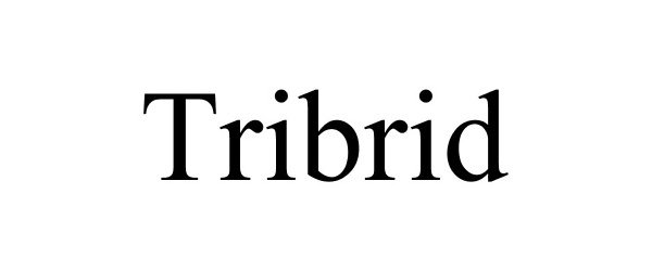 Trademark Logo TRIBRID