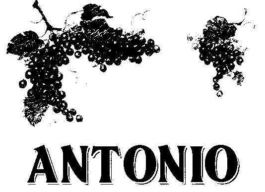 ANTONIO