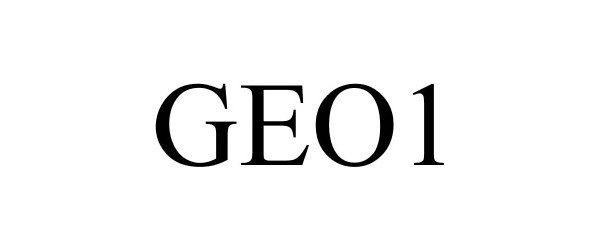  GEO1