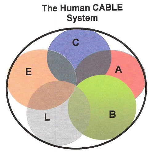 Trademark Logo THE HUMAN CABLE SYSTEM C A B L E