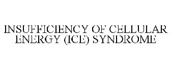 Trademark Logo INSUFFICIENCY OF CELLULAR ENERGY (ICE) SYNDROME