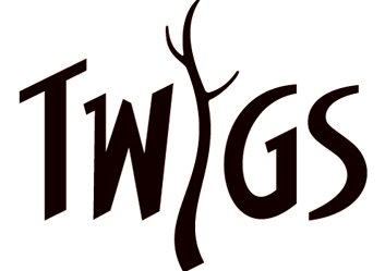 Trademark Logo TWIGS