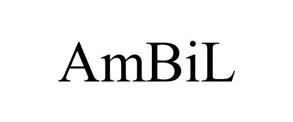  AMBIL