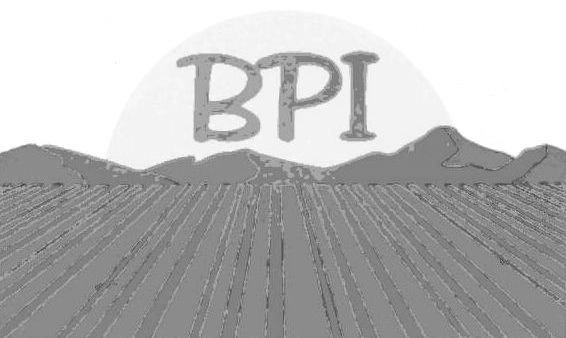 BPI