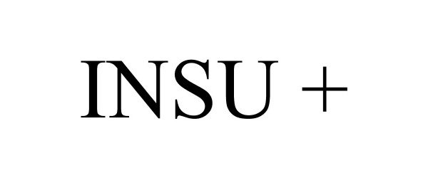  INSU +