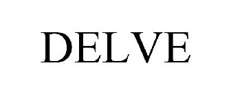 Trademark Logo DELVE