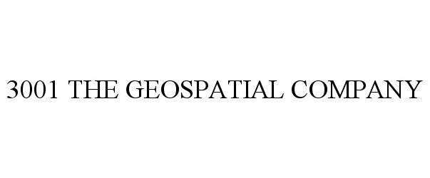  3001 THE GEOSPATIAL COMPANY
