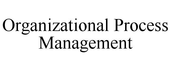  ORGANIZATIONAL PROCESS MANAGEMENT