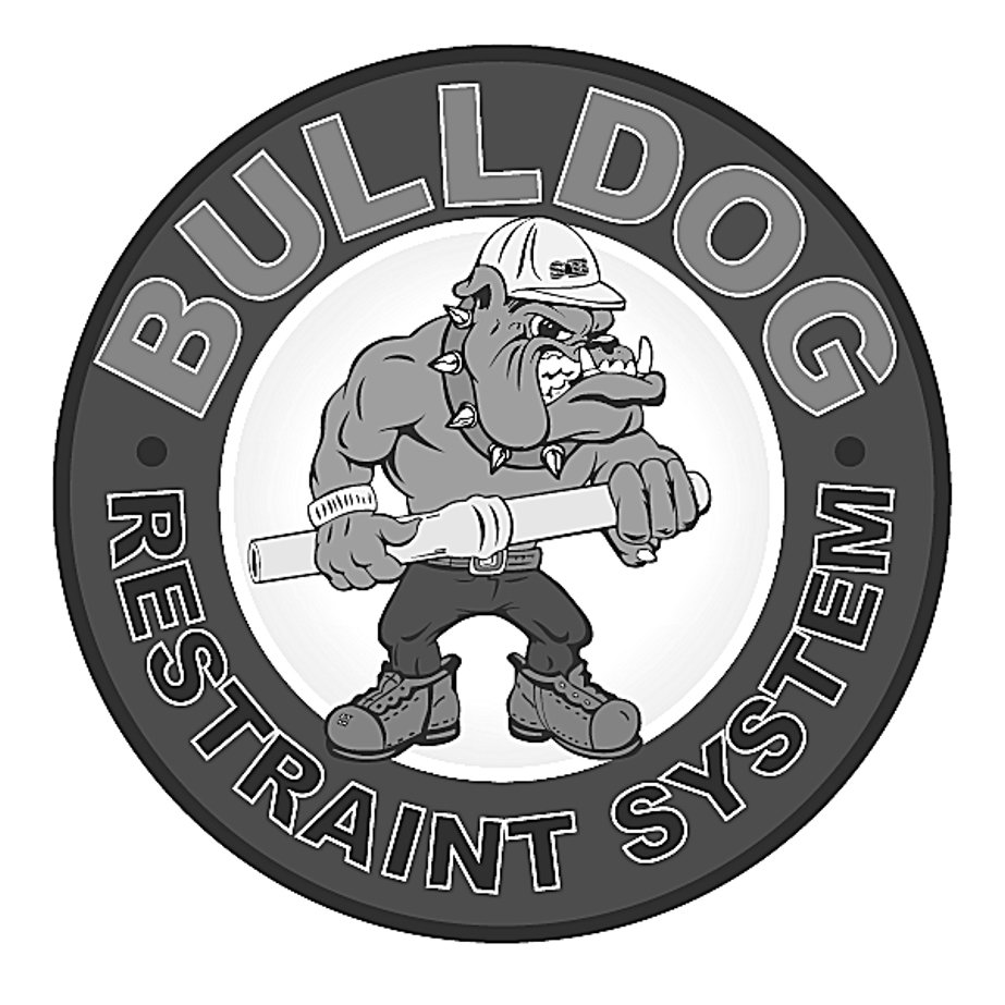  · BULLDOG RESTRAINT SYSTEM Â·