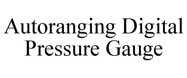  AUTORANGING DIGITAL PRESSURE GAUGE