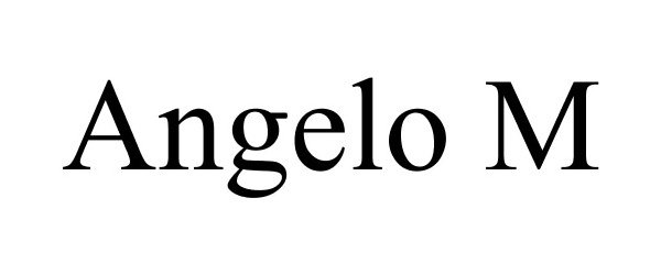  ANGELO M