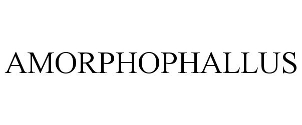  AMORPHOPHALLUS