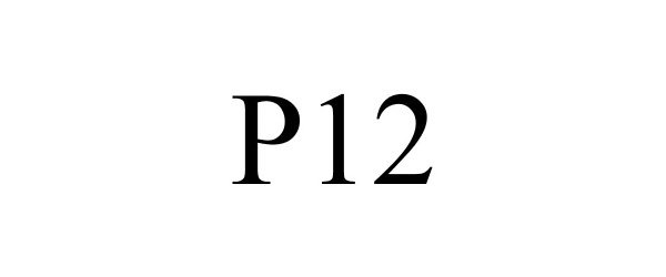  P12