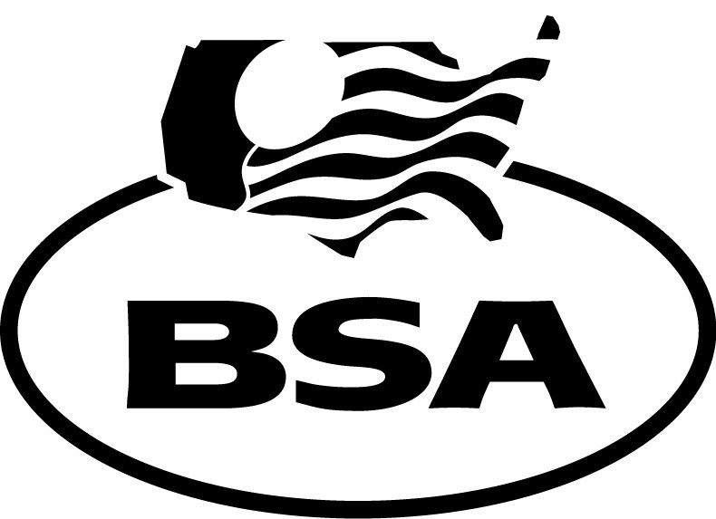 Trademark Logo BSA