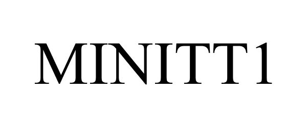  MINITT1