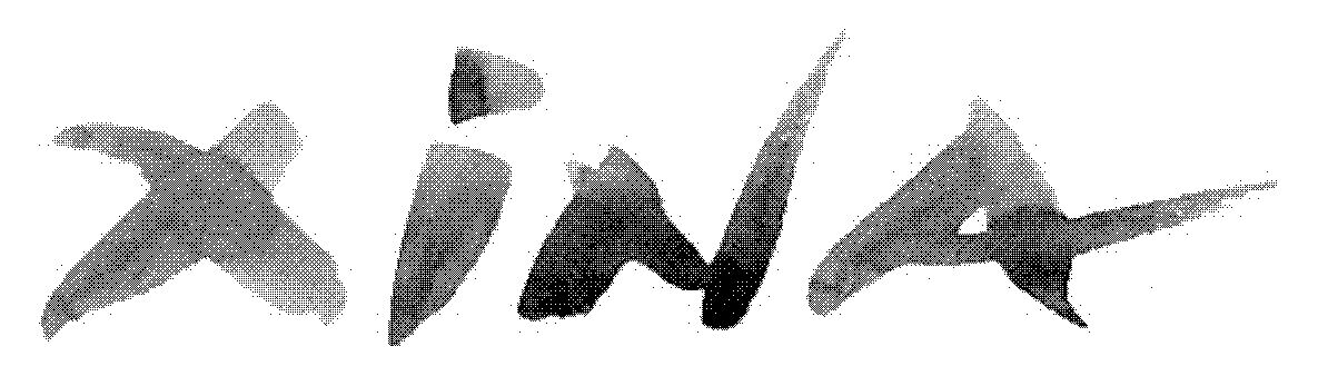 Trademark Logo XINA