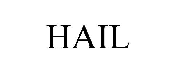 Trademark Logo HAIL