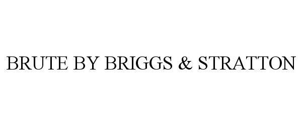  BRUTE BY BRIGGS &amp; STRATTON