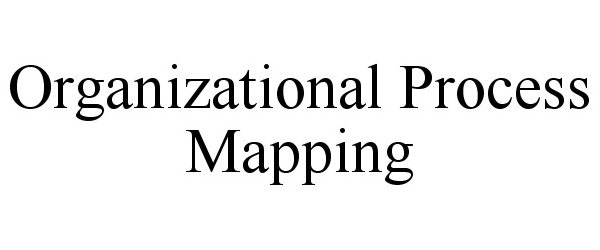  ORGANIZATIONAL PROCESS MAPPING