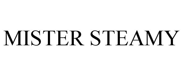 Trademark Logo MISTER STEAMY