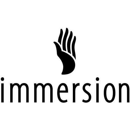 Trademark Logo IMMERSION