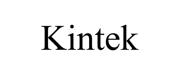 Trademark Logo KINTEK