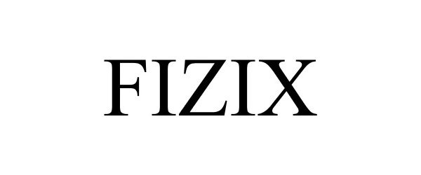 Trademark Logo FIZIX