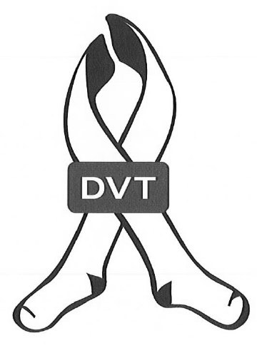 Trademark Logo DVT