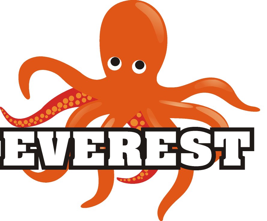 Trademark Logo EVEREST