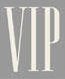 Trademark Logo VIP