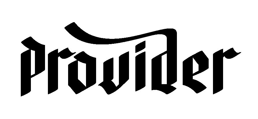 Trademark Logo PROVIDER