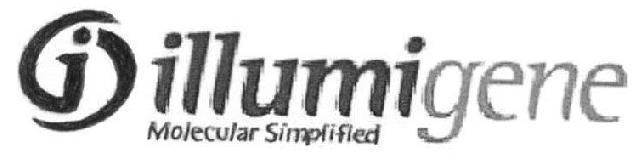 Trademark Logo I ILLUMIGENE MOLECULAR SIMPLIFIED