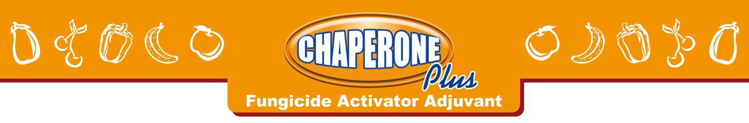 Trademark Logo CHAPERONE PLUS, FUNGICIDE ACTIVATOR ADJUVANT