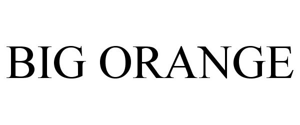 Trademark Logo BIG ORANGE