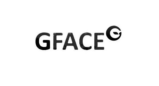  GFACE G