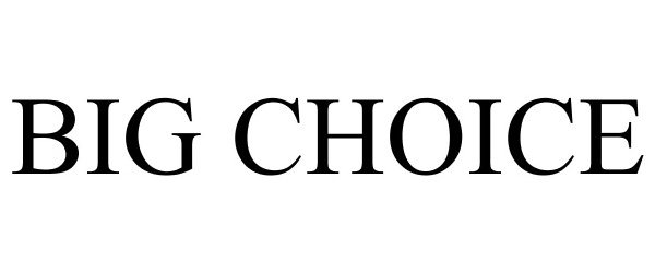 Trademark Logo BIG CHOICE