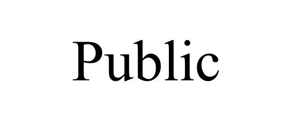 Trademark Logo PUBLIC