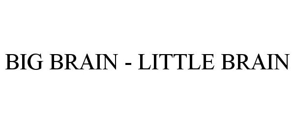 Trademark Logo BIG BRAIN - LITTLE BRAIN