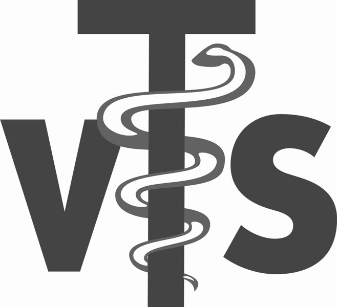 Trademark Logo VTS