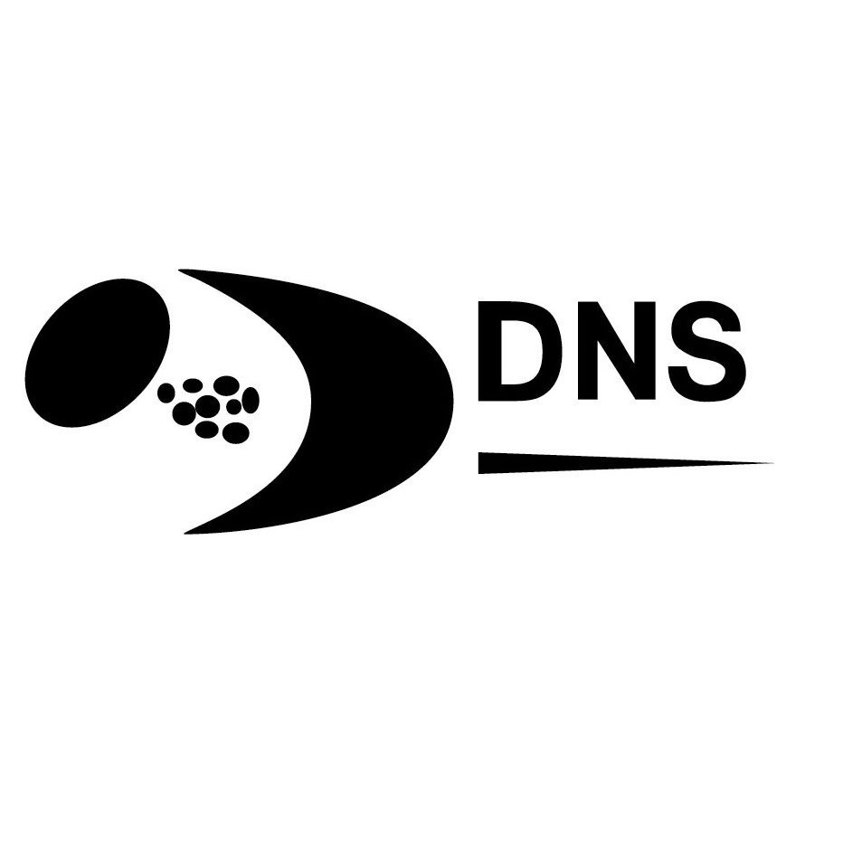  DNS