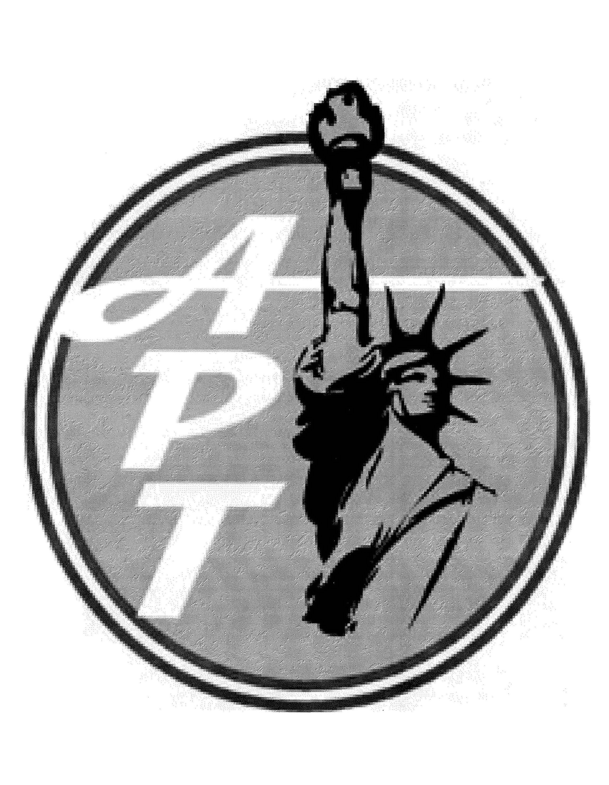 Trademark Logo APT
